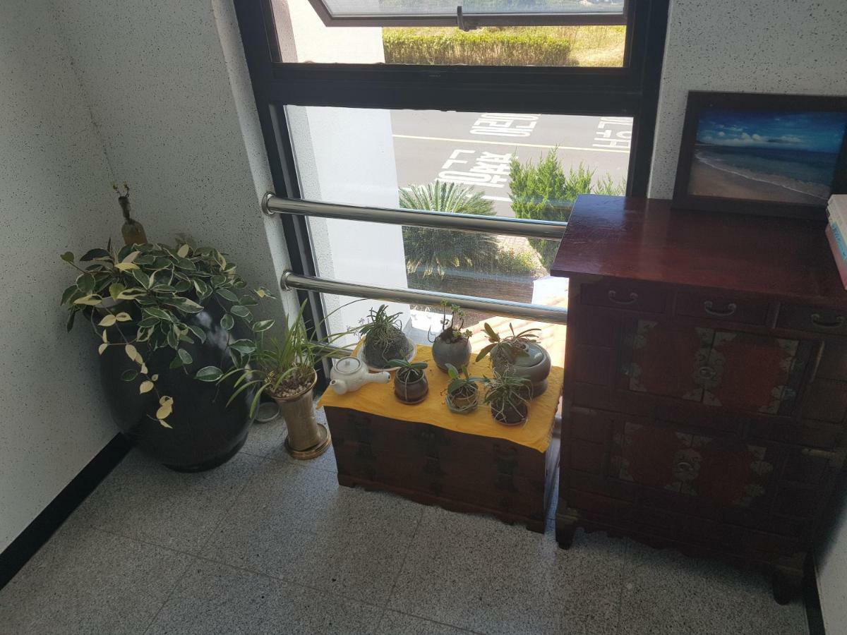 סאוגוויפו Purmir Pension מראה חיצוני תמונה